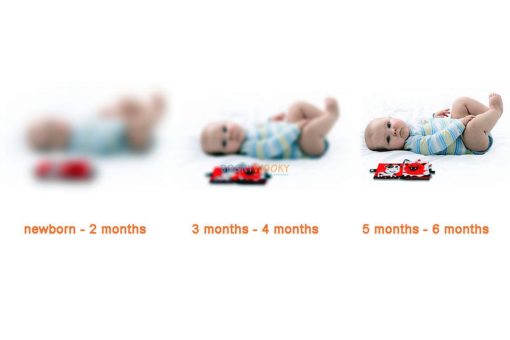 Black White Red Jungle Animals Cloth Book